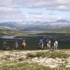Отель Venabu Fjellhotell