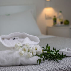 Hotel Forlanini 52 Парма комната для гостей фото 3