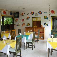 Pension Michel in La Digue, Seychelles from 160$, photos, reviews - zenhotels.com photo 3