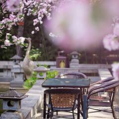 Отель Tang Dynasty Art Garden Китай, Сиань - отзывы, цены и фото номеров - забронировать отель Tang Dynasty Art Garden онлайн фото 7