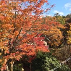 Oshino Onsen in Yamanakako, Japan from 193$, photos, reviews - zenhotels.com photo 4