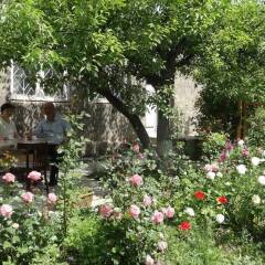 Отель Artush & Raisa B&B Армения, Гюмри - 1 отзыв об отеле, цены и фото номеров - забронировать отель Artush & Raisa B&B онлайн фото 4