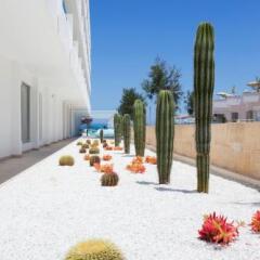 The Sea Hotel by Grupotel - Adults Only фото 4