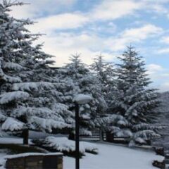 Отель Aparthotel La Vall Blanca