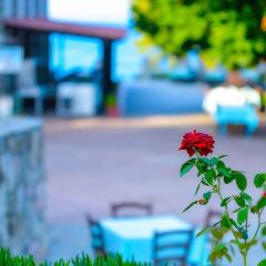 Alexander the Great Beach Hotel фото 13