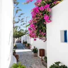 Отель Mathios Village Греция, Остров Санторини - отзывы, цены и фото номеров - забронировать отель Mathios Village онлайн фото 7