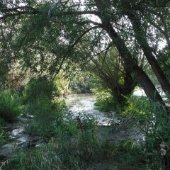 Отель Billingsley Creek фото 10