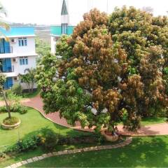 Отель Palmarinha Resort & Suites Гоа фото 2