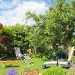Отель Gsundsport Bed And Breakfast Швейцария, Мури-Берн - отзывы, цены и фото номеров - забронировать отель Gsundsport Bed And Breakfast онлайн фото 3