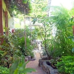 Отель Mai Binh Phuong Bungalow фото 19