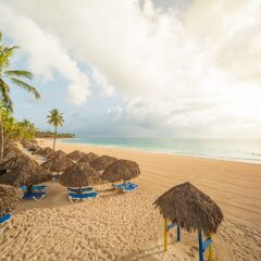 Отель Caribe Club Princess Beach Resort and Spa - Все включено Доминикана, Пунта Кана - 13 отзывов об отеле, цены и фото номеров - забронировать отель Caribe Club Princess Beach Resort and Spa - Все включено онлайн фото 4