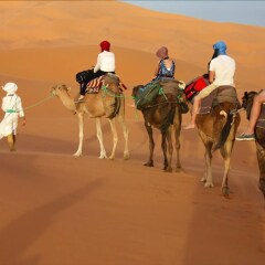Отель Merzouga Camp Марокко, Мерзуга - отзывы, цены и фото номеров - забронировать отель Merzouga Camp онлайн фото 7
