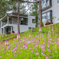 Terracotta Hotel & Resort Dalat фото 15