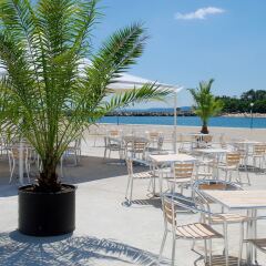 Lebed Hotel - All Inclusive гостиничный бар