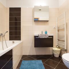 Апартаменты Premier Apartment Vysehrad Прага ванная фото 2