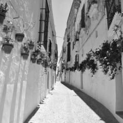 Отель Hostal San Marcos