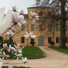 Отель Albergo Villa Alessia Кастель-д'Арио фото 19