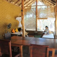 Отель Back of Beyond - Safari Lodge Yala с домашними животными