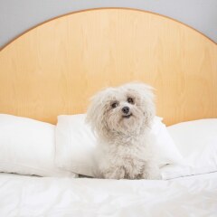 Отель Best Western Eurostop Эребру с домашними животными