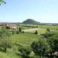 Отель Terme Orvieto Италия, Абано-Терме - отзывы, цены и фото номеров - забронировать отель Terme Orvieto онлайн фото 4