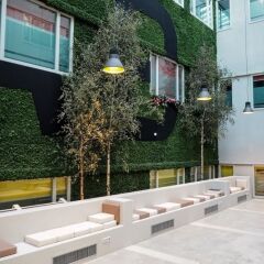 Отель ClinkNOORD - Hostel Нидерланды, Амстердам - 4 отзыва об отеле, цены и фото номеров - забронировать отель ClinkNOORD - Hostel онлайн с домашними животными