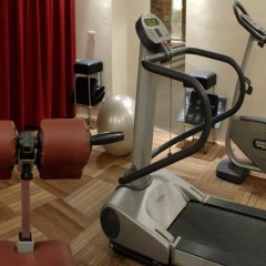 Отель Borghese Palace Art Hotel Италия, Флоренция - 1 отзыв об отеле, цены и фото номеров - забронировать отель Borghese Palace Art Hotel онлайн фитнесс-зал фото 2