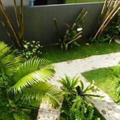 Отель Sairee Sairee Guesthouse фото 5