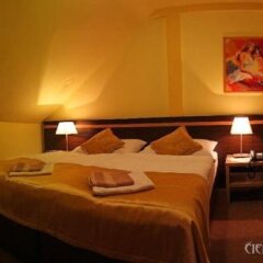 Hotel Cierny Orol in Roznava, Slovakia from 126$, photos, reviews - zenhotels.com guestroom photo 5