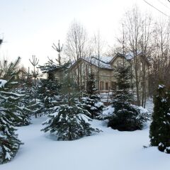 Гостиница Skokovo Park фото 15