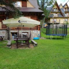 Отель Camping Harenda Pokoje Gościnne i Domki Закопане фото 6
