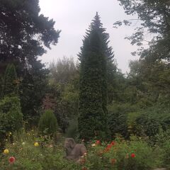 Отель Vanadzor Armenia Health Resort Армения, Дзорагет - отзывы, цены и фото номеров - забронировать отель Vanadzor Armenia Health Resort онлайн фото 8