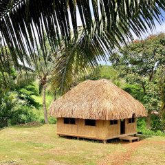 Palmlea Farms Lodge & Bures in Nukubati Island, Fiji from 59$, photos, reviews - zenhotels.com