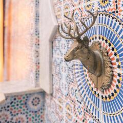 Отель Riad Dar Nawfal Марокко, Схират - отзывы, цены и фото номеров - забронировать отель Riad Dar Nawfal онлайн сауна