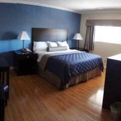 Отель Metropolitan Inn & Suites США, Лос-Анджелес - отзывы, цены и фото номеров - забронировать отель Metropolitan Inn & Suites онлайн комната для гостей