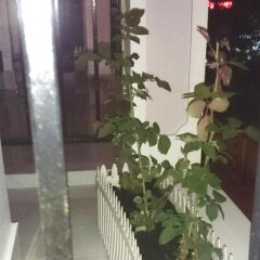 Little Home Hostel Nha Trang балкон