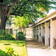 Отель Al's Resort Таиланд, Самуи - 4 отзыва об отеле, цены и фото номеров - забронировать отель Al's Resort онлайн фото 8