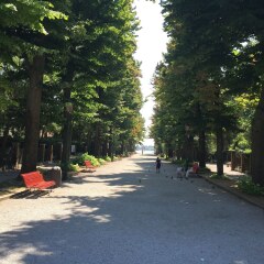 Отель Biennale фото 12