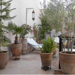 Отель Riad Ailen Марракеш фото 7