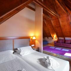Hotel Acevi Val d'Aran комната для гостей фото 5