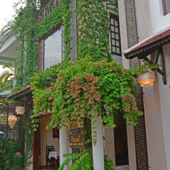 Отель Thien Thanh Boutique Хойан фото 9
