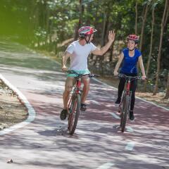 Отель Presidente Intercontinental Ixtapa Resort - Все включено спортивное сооружение