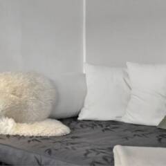 Отель 1 bedroom apt Close To Christiania 308-1 Дания, Копенгаген - отзывы, цены и фото номеров - забронировать отель 1 bedroom apt Close To Christiania 308-1 онлайн комната для гостей фото 3