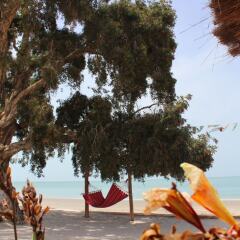 Wefa Hotel in Bubaque, Guinea-Bissau from 107$, photos, reviews - zenhotels.com beach photo 2