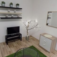 Отель Karlsbad Apartments Чехия, Карловы Вары - отзывы, цены и фото номеров - забронировать отель Karlsbad Apartments онлайн фото 15
