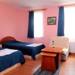 Отель Family Hotel Flora Болгария, Ардино - отзывы, цены и фото номеров - забронировать отель Family Hotel Flora онлайн фото 26