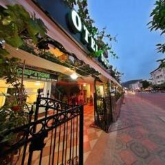 Hotel Dost фото 2