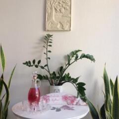 Отель Isidora Hotel Греция, Эгина - отзывы, цены и фото номеров - забронировать отель Isidora Hotel онлайн