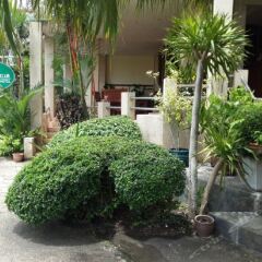 Отель Krabi City Seaview Hotel Таиланд, Краби - отзывы, цены и фото номеров - забронировать отель Krabi City Seaview Hotel онлайн фото 4