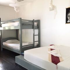 Отель Papillon Bungalows комната для гостей фото 2