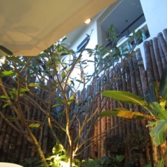 The Wave Patong Boutique Hotel фото 2